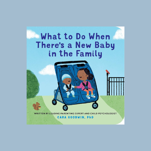 What to Do When There's a New Baby in the Family: A New Baby Book for Toddlers