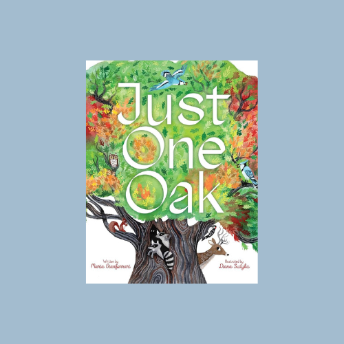 Just One Oak: What a Single Tree Can Be