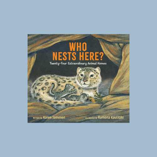 Who Nests Here?: Twenty-Four Extraordinary Animal Homes
