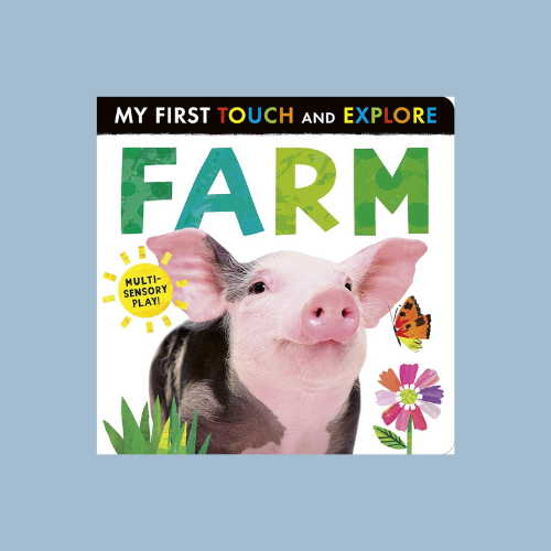 Farm: My First Touch and Explore: Multi-sensory Play!