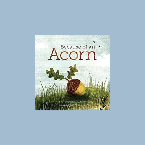 Because of an Acorn