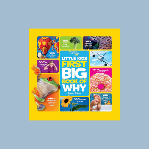 First Big Book of Why (National Geographic Kids)
